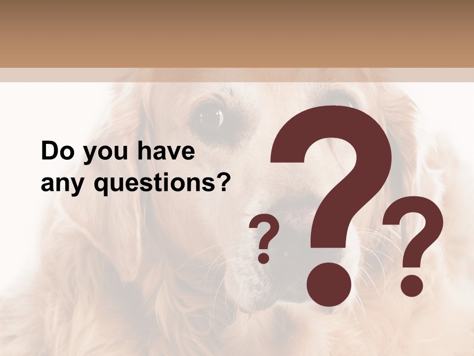 A Dog With A Hat On It's Head PowerPoint Template