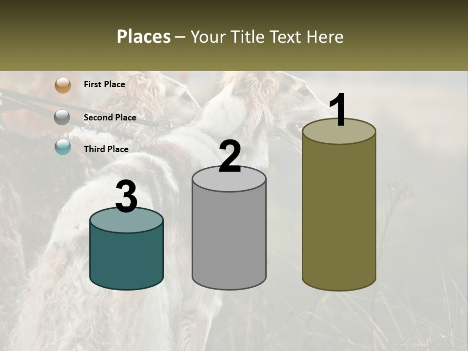 Two Dogs Standing Next To Each Other On A Leash PowerPoint Template