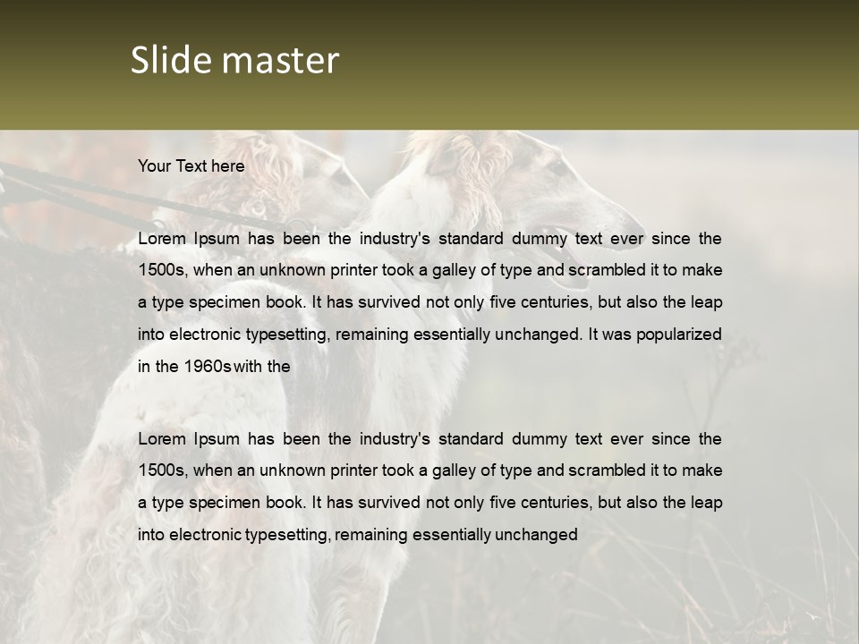 Two Dogs Standing Next To Each Other On A Leash PowerPoint Template