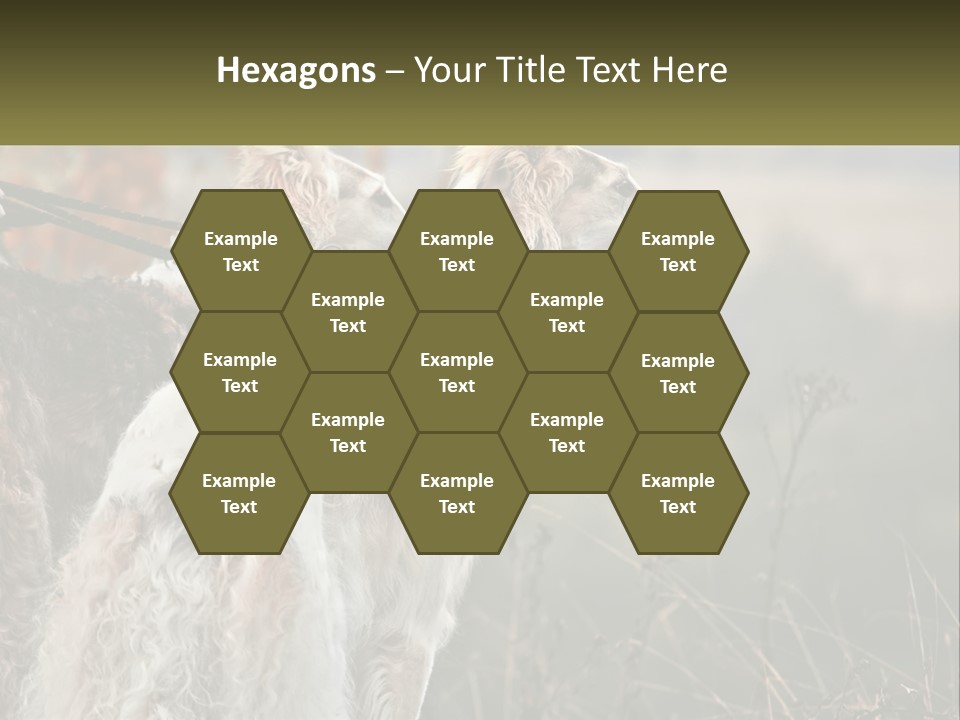 Two Dogs Standing Next To Each Other On A Leash PowerPoint Template