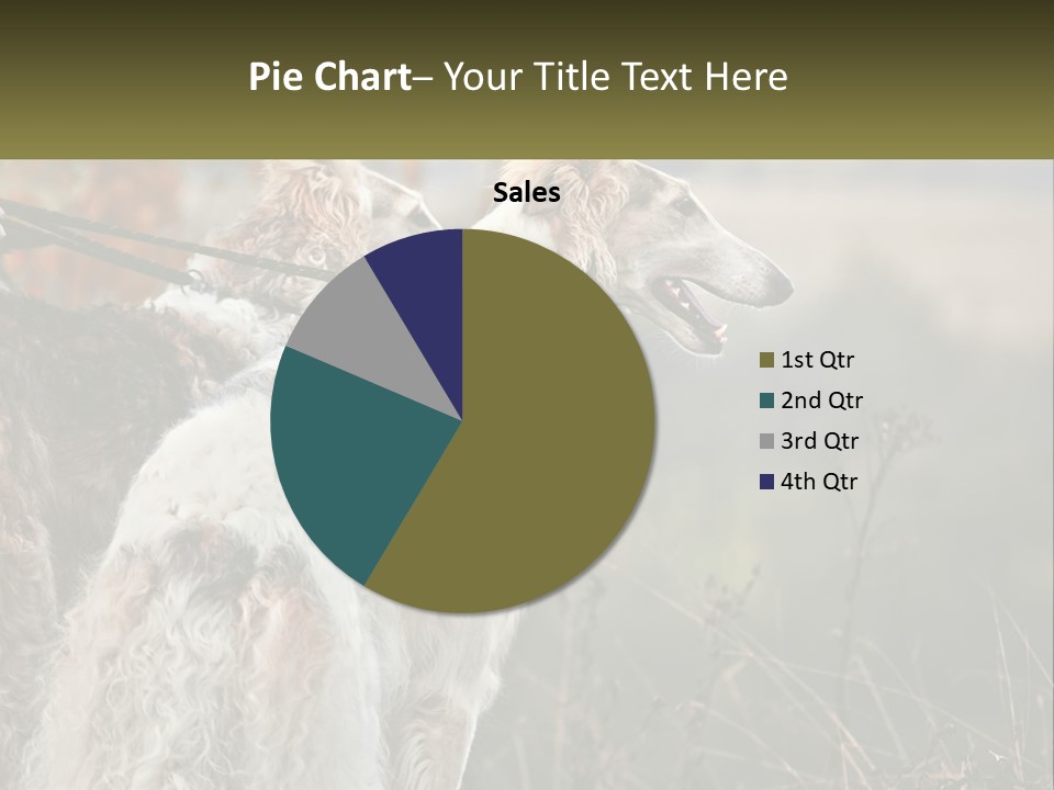 Two Dogs Standing Next To Each Other On A Leash PowerPoint Template