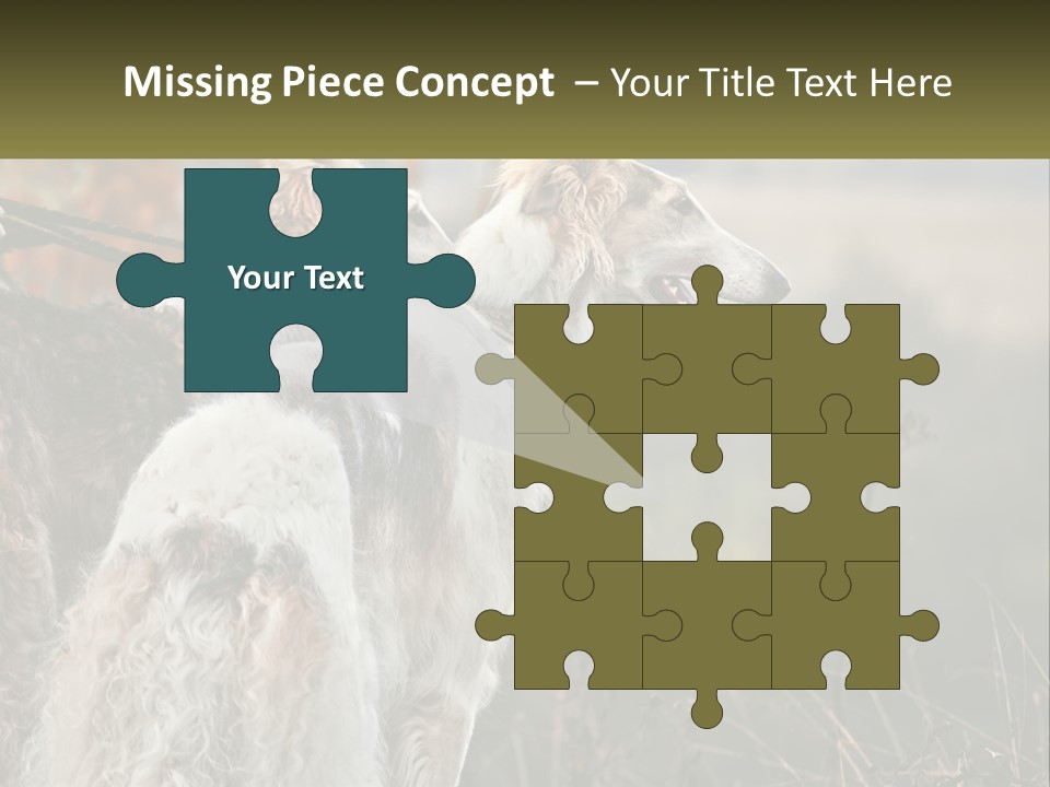 Two Dogs Standing Next To Each Other On A Leash PowerPoint Template