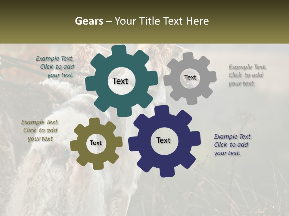 Two Dogs Standing Next To Each Other On A Leash PowerPoint Template