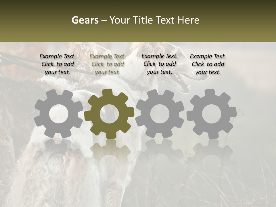 Two Dogs Standing Next To Each Other On A Leash PowerPoint Template