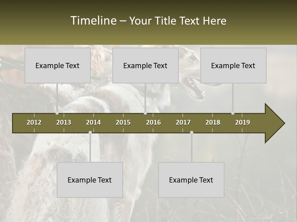 Two Dogs Standing Next To Each Other On A Leash PowerPoint Template