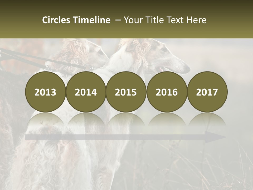 Two Dogs Standing Next To Each Other On A Leash PowerPoint Template