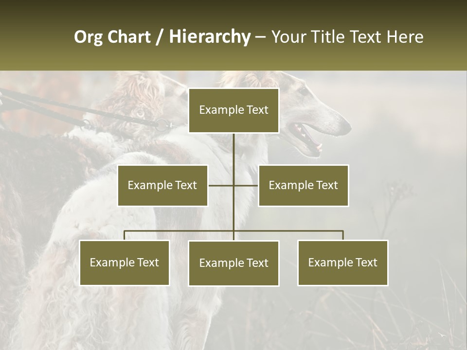 Two Dogs Standing Next To Each Other On A Leash PowerPoint Template