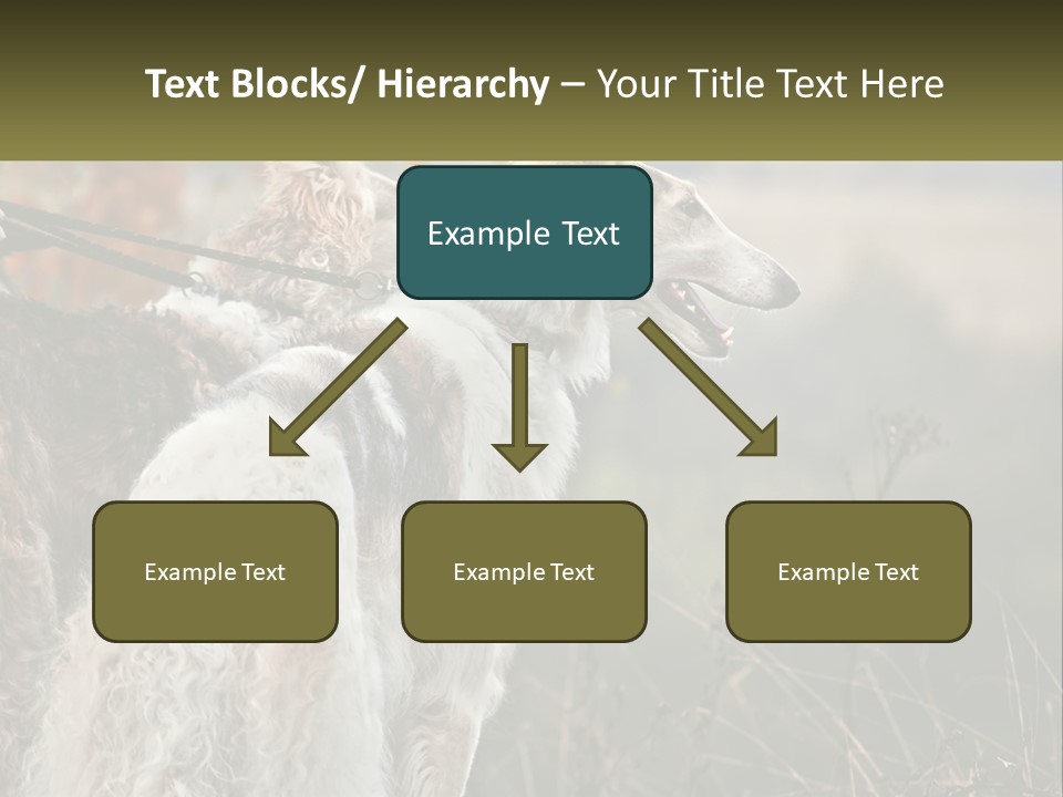 Two Dogs Standing Next To Each Other On A Leash PowerPoint Template