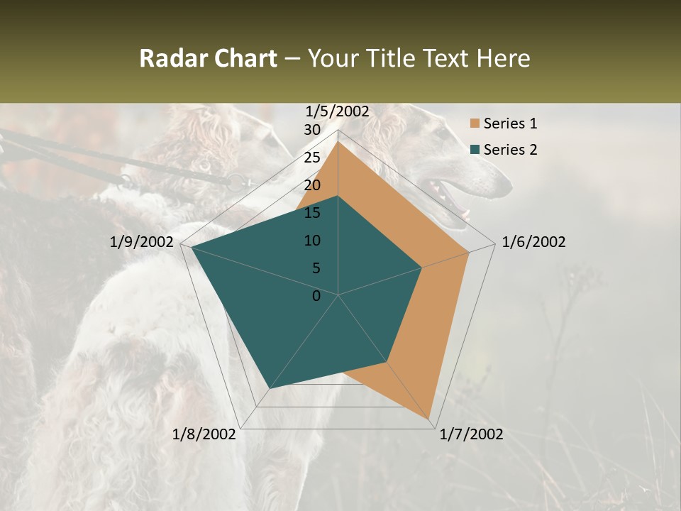 Two Dogs Standing Next To Each Other On A Leash PowerPoint Template