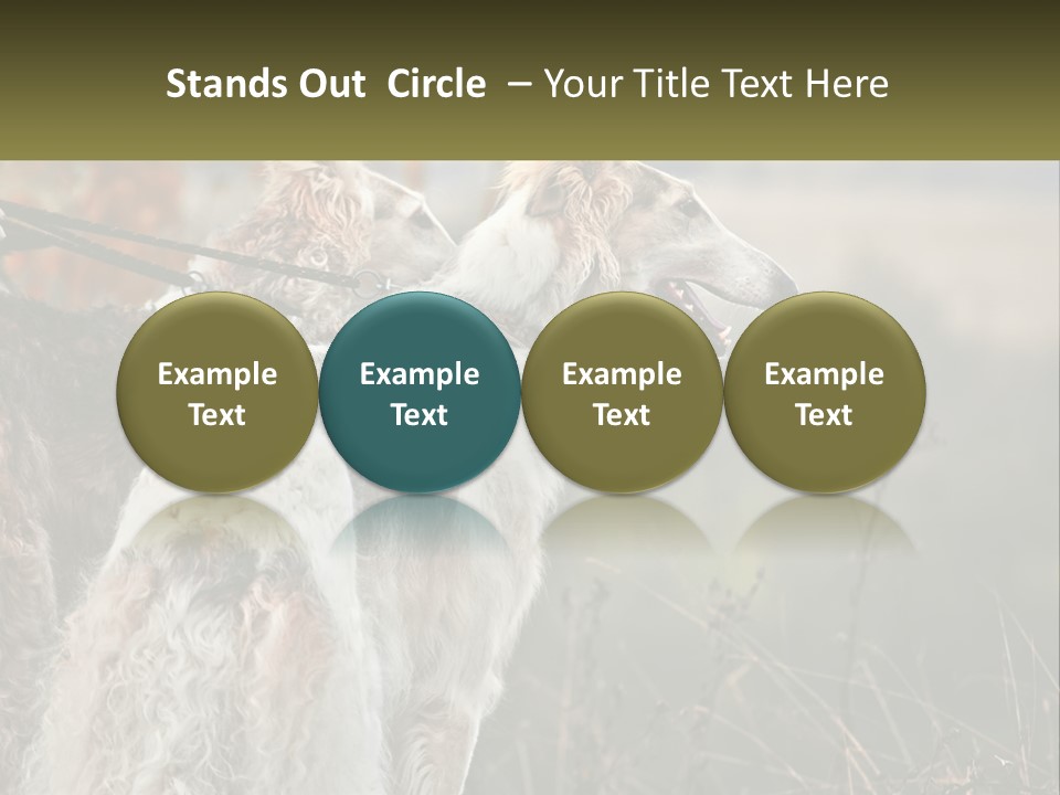 Two Dogs Standing Next To Each Other On A Leash PowerPoint Template