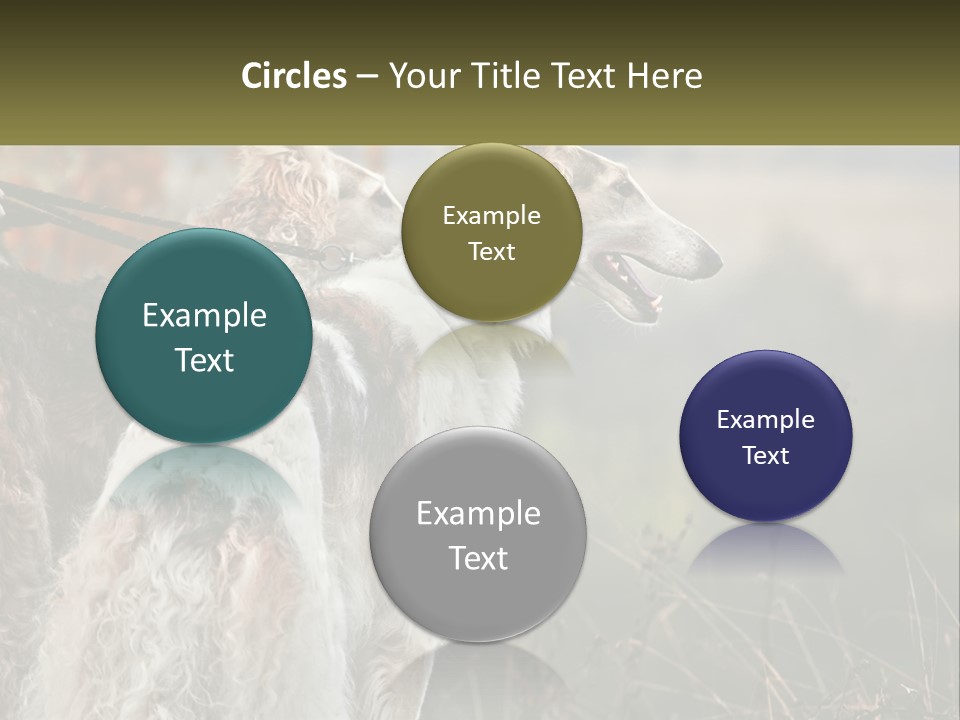 Two Dogs Standing Next To Each Other On A Leash PowerPoint Template