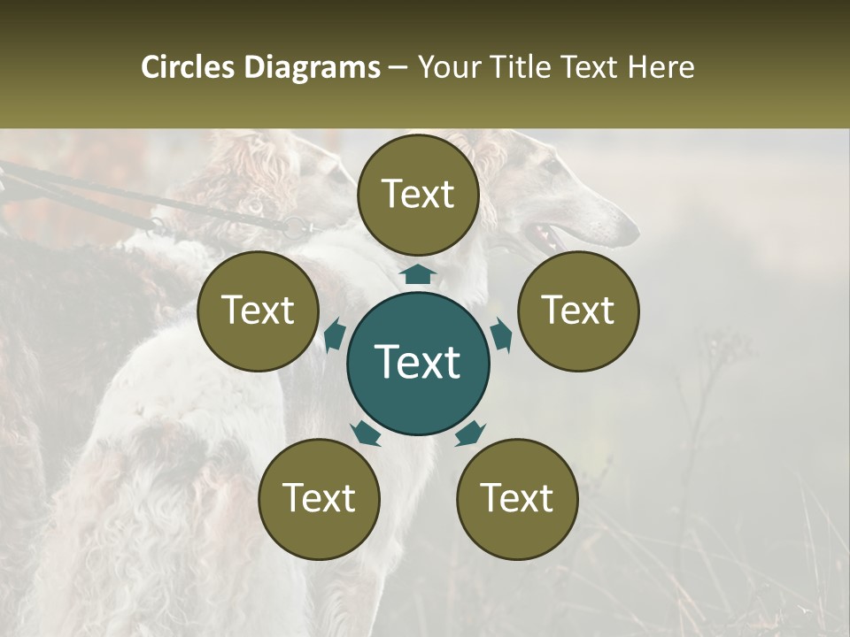 Two Dogs Standing Next To Each Other On A Leash PowerPoint Template