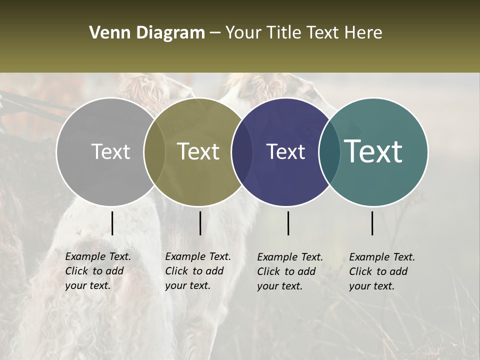 Two Dogs Standing Next To Each Other On A Leash PowerPoint Template