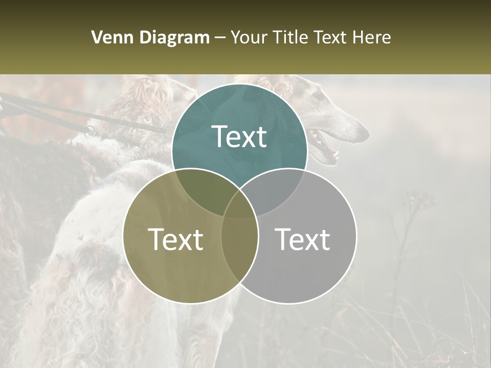 Two Dogs Standing Next To Each Other On A Leash PowerPoint Template