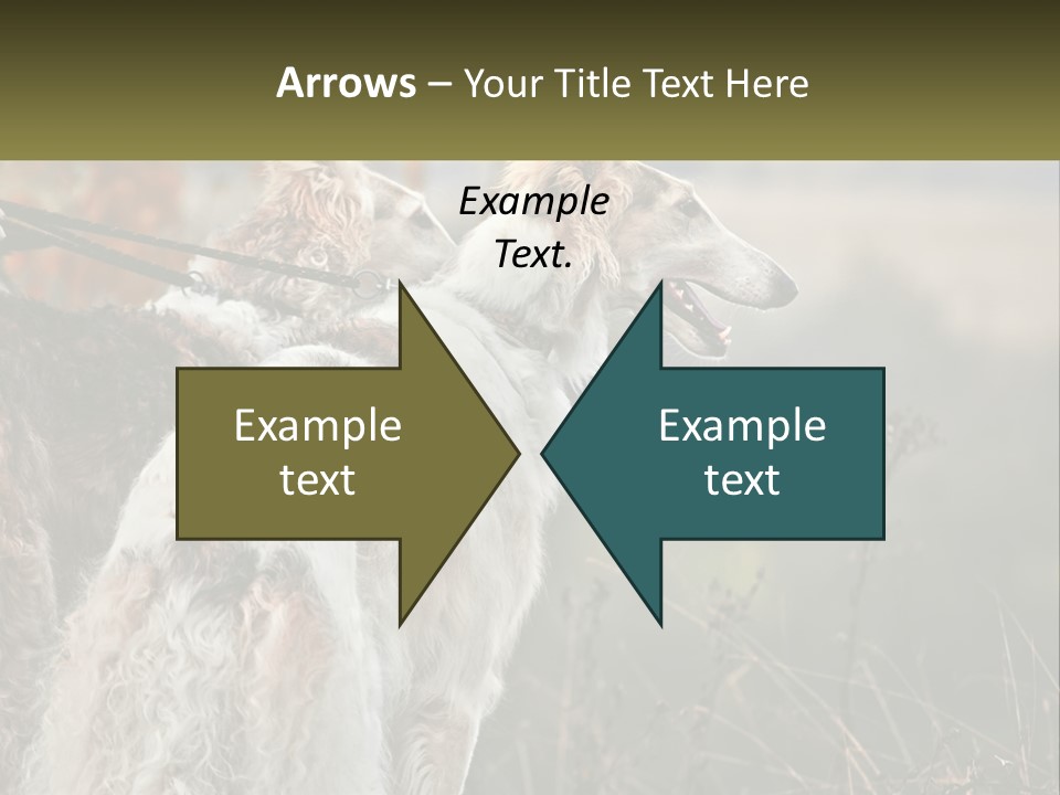 Two Dogs Standing Next To Each Other On A Leash PowerPoint Template