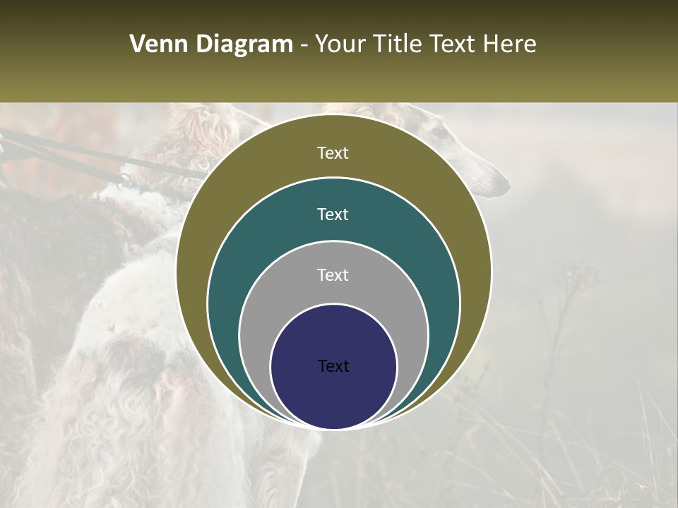 Two Dogs Standing Next To Each Other On A Leash PowerPoint Template