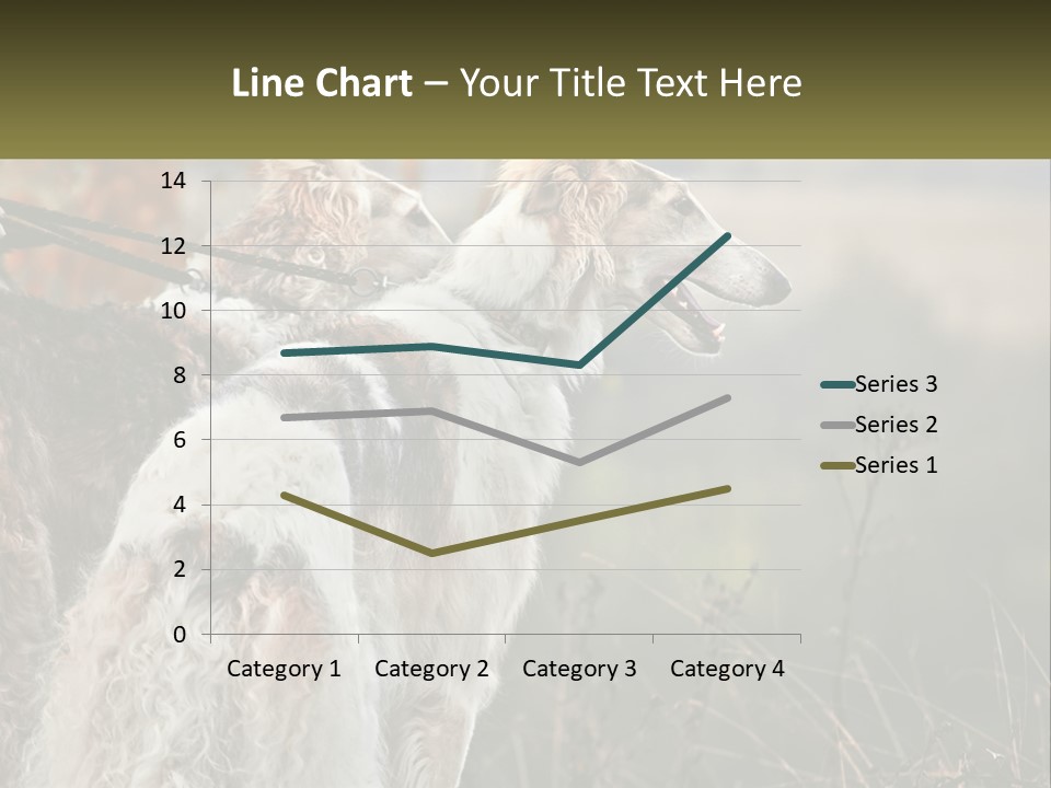 Two Dogs Standing Next To Each Other On A Leash PowerPoint Template