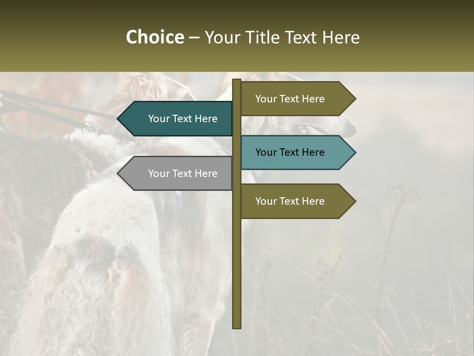 Two Dogs Standing Next To Each Other On A Leash PowerPoint Template