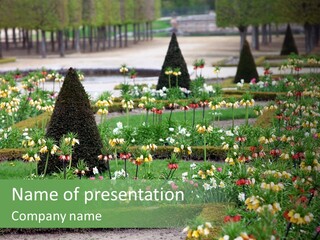 A Garden Filled With Lots Of Flowers And Trees PowerPoint Template