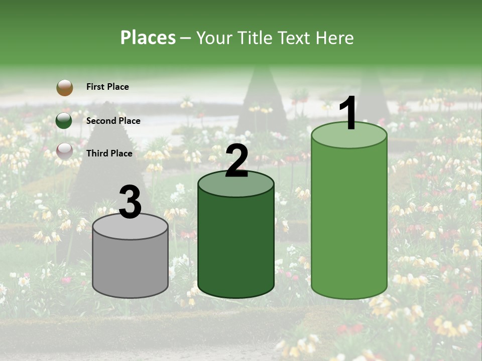 A Garden Filled With Lots Of Flowers And Trees PowerPoint Template