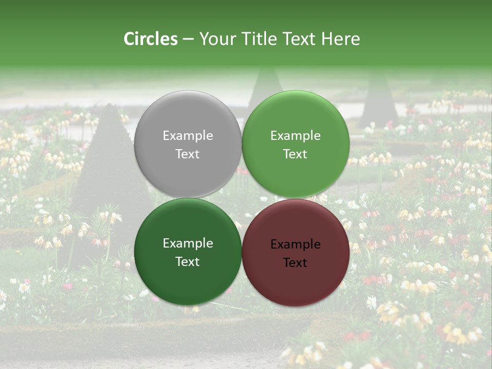 A Garden Filled With Lots Of Flowers And Trees PowerPoint Template