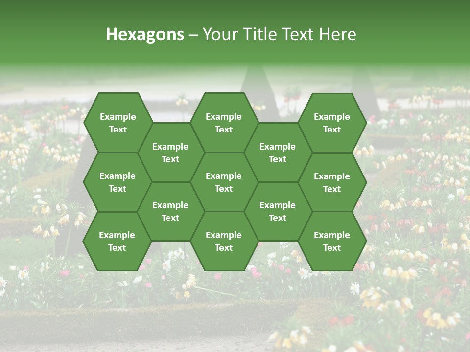 A Garden Filled With Lots Of Flowers And Trees PowerPoint Template