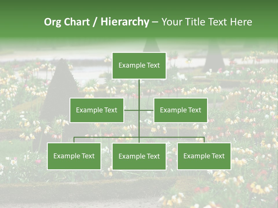 A Garden Filled With Lots Of Flowers And Trees PowerPoint Template