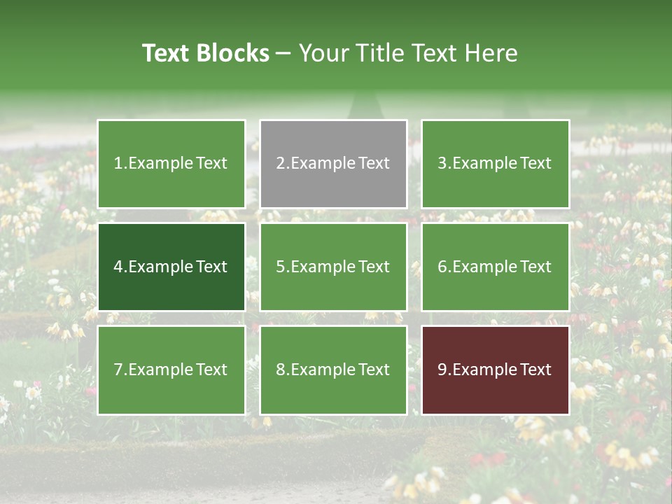 A Garden Filled With Lots Of Flowers And Trees PowerPoint Template