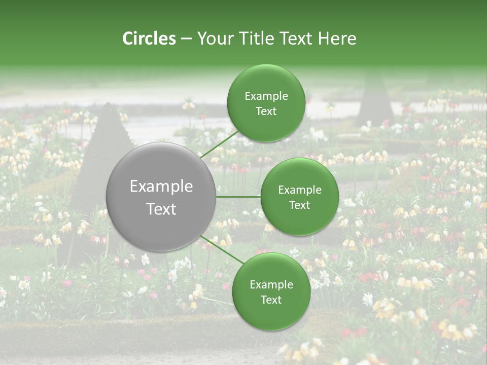 A Garden Filled With Lots Of Flowers And Trees PowerPoint Template