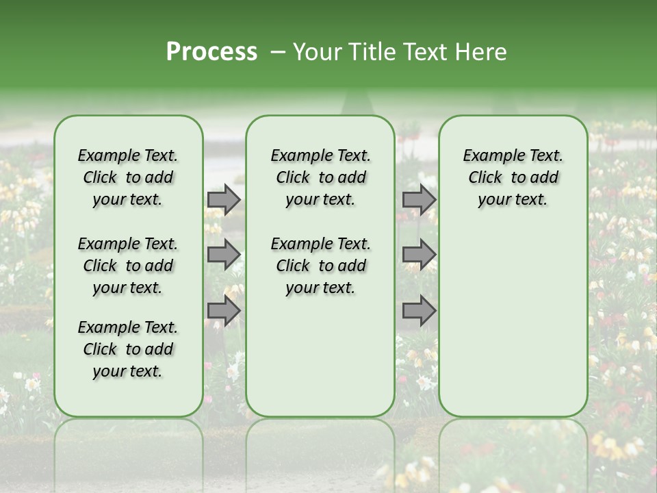 A Garden Filled With Lots Of Flowers And Trees PowerPoint Template