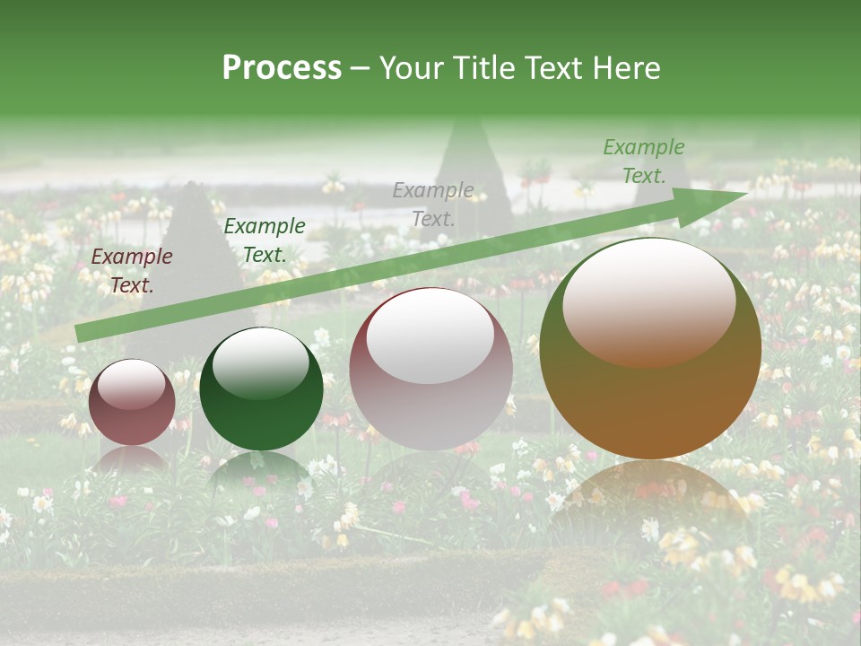 A Garden Filled With Lots Of Flowers And Trees PowerPoint Template