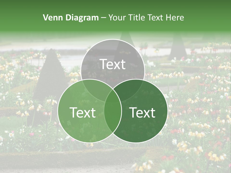 A Garden Filled With Lots Of Flowers And Trees PowerPoint Template