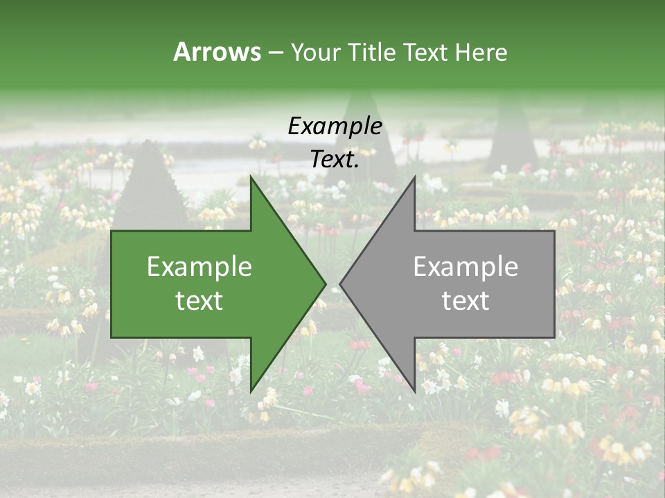 A Garden Filled With Lots Of Flowers And Trees PowerPoint Template