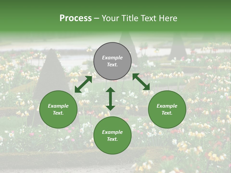 A Garden Filled With Lots Of Flowers And Trees PowerPoint Template