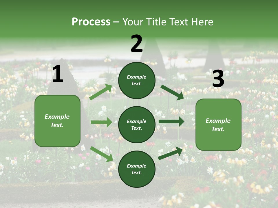 A Garden Filled With Lots Of Flowers And Trees PowerPoint Template