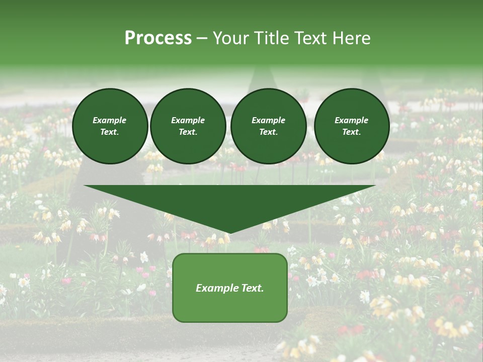 A Garden Filled With Lots Of Flowers And Trees PowerPoint Template
