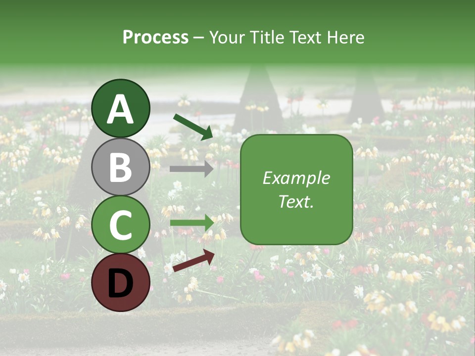 A Garden Filled With Lots Of Flowers And Trees PowerPoint Template