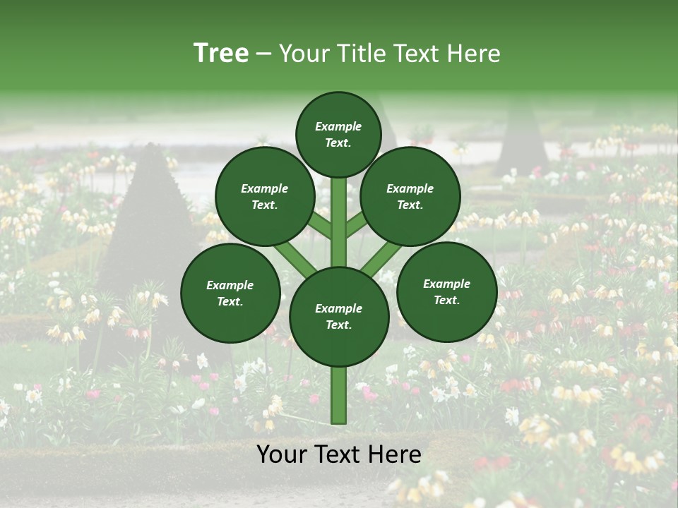A Garden Filled With Lots Of Flowers And Trees PowerPoint Template