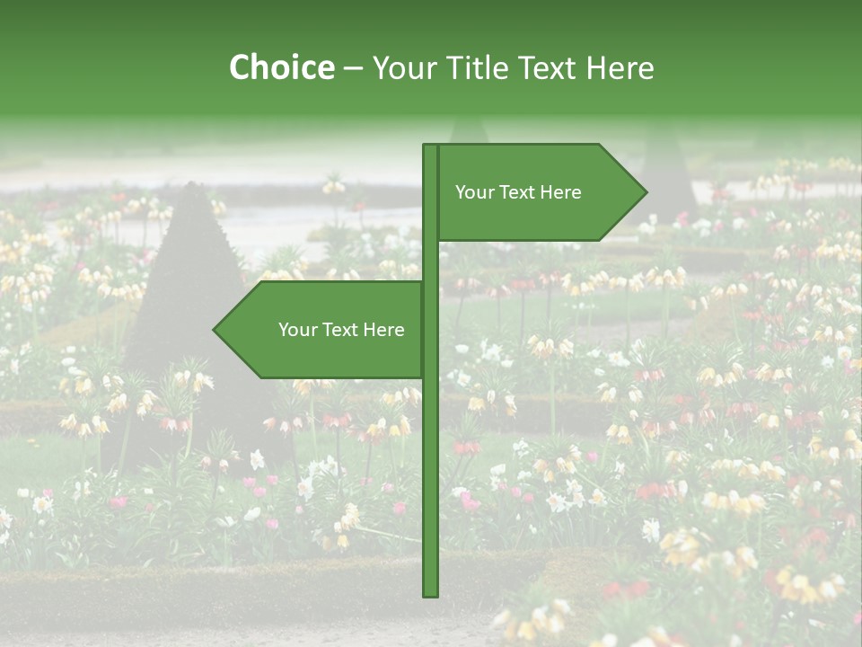 A Garden Filled With Lots Of Flowers And Trees PowerPoint Template