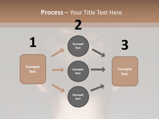 A Woman With Her Hair In A Bun Powerpoint Presentation PowerPoint Template