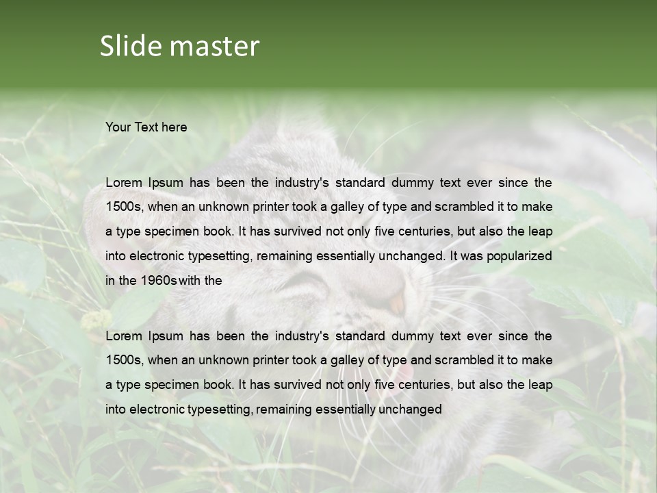 A Cat Laying In The Grass With Its Eyes Closed PowerPoint Template
