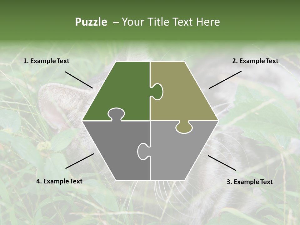 A Cat Laying In The Grass With Its Eyes Closed PowerPoint Template