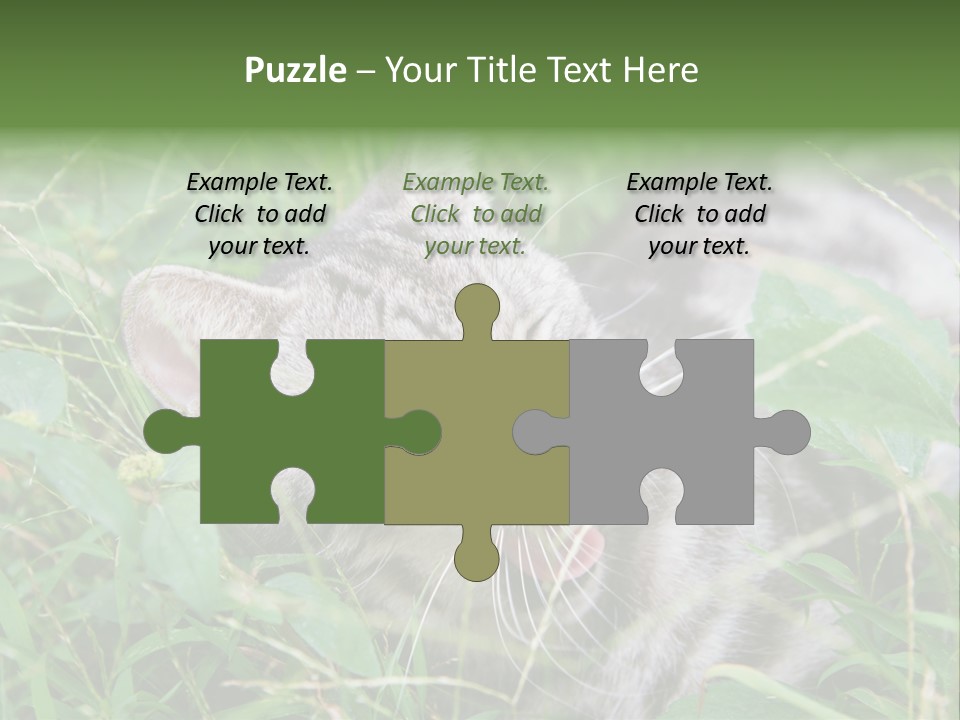 A Cat Laying In The Grass With Its Eyes Closed PowerPoint Template