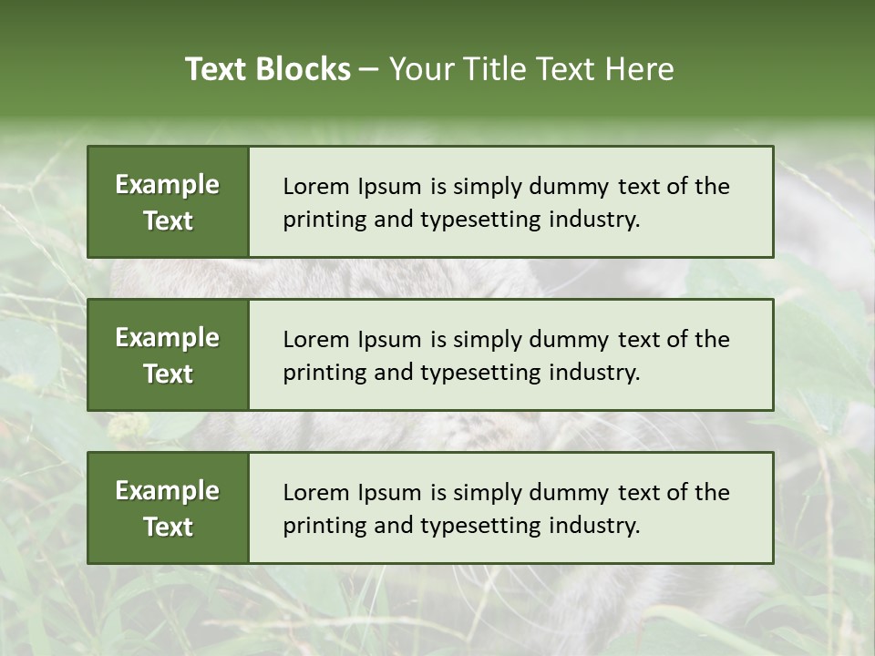 A Cat Laying In The Grass With Its Eyes Closed PowerPoint Template