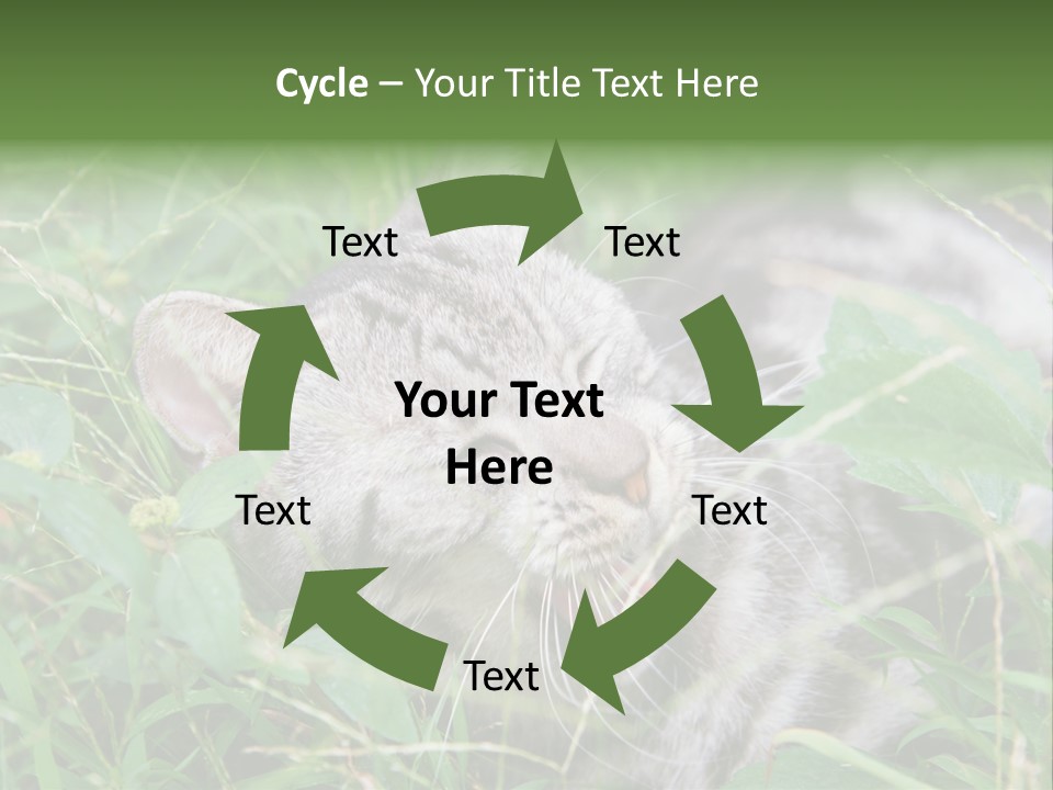 A Cat Laying In The Grass With Its Eyes Closed PowerPoint Template