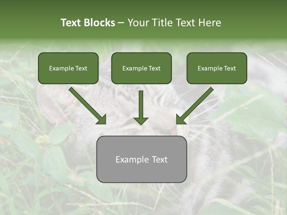 A Cat Laying In The Grass With Its Eyes Closed PowerPoint Template