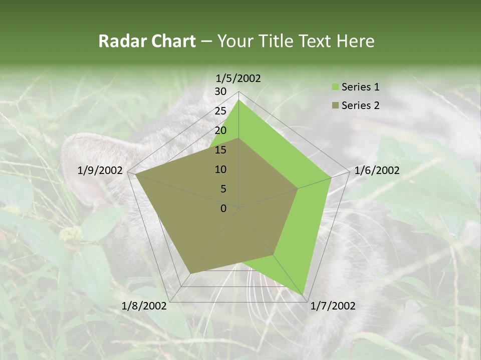 A Cat Laying In The Grass With Its Eyes Closed PowerPoint Template