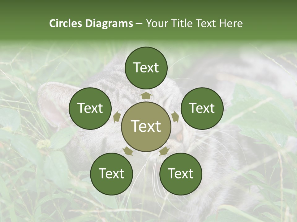 A Cat Laying In The Grass With Its Eyes Closed PowerPoint Template