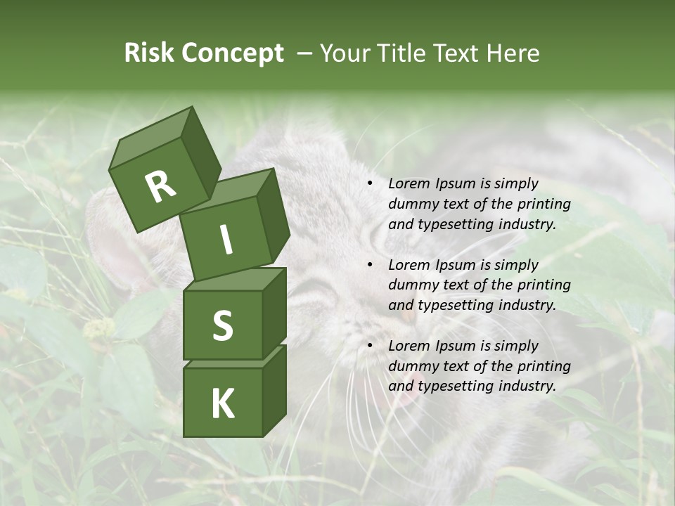 A Cat Laying In The Grass With Its Eyes Closed PowerPoint Template