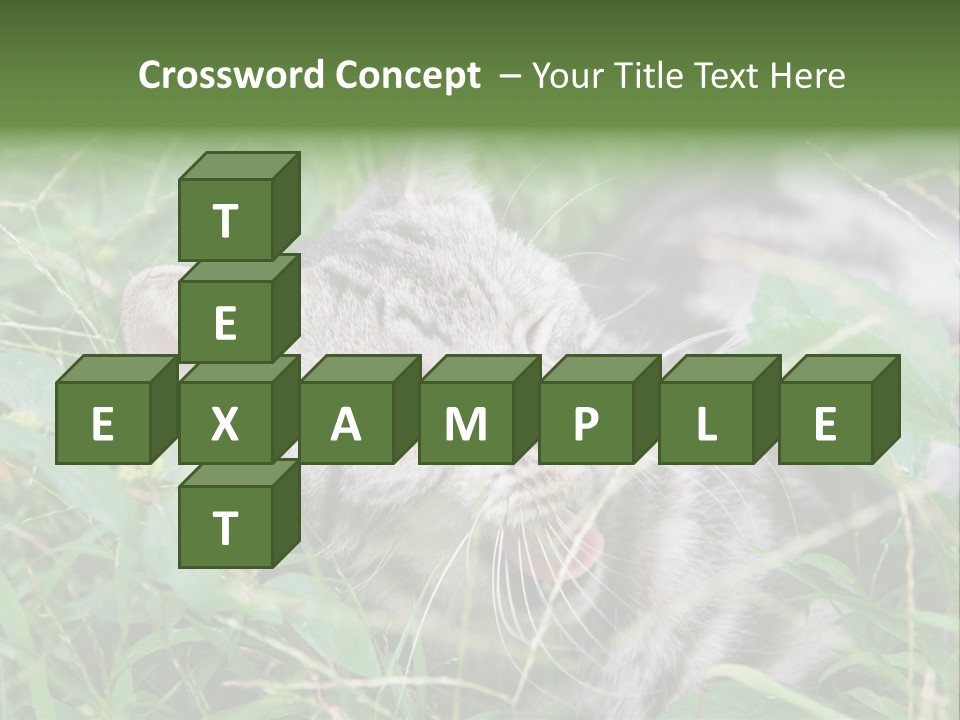 A Cat Laying In The Grass With Its Eyes Closed PowerPoint Template